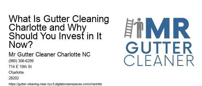 What Is Gutter Cleaning Charlotte and Why Should You Invest in It Now?