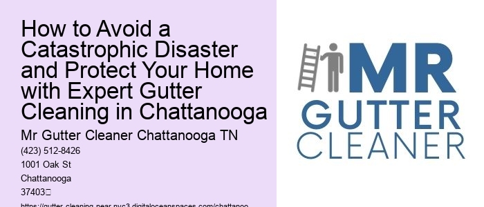 How to Avoid a Catastrophic Disaster and Protect Your Home with Expert Gutter Cleaning in Chattanooga