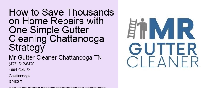 How to Save Thousands on Home Repairs with One Simple Gutter Cleaning Chattanooga Strategy