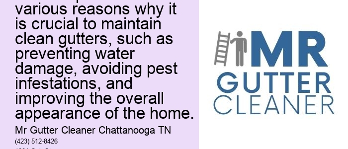 The Importance of Regular Gutter Cleaning: This topic could explore the various reasons why it is crucial to maintain clean gutters, such as preventing water damage, avoiding pest infestations, and improving the overall appearance of the home.