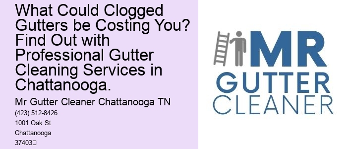 What Could Clogged Gutters be Costing You? Find Out with Professional Gutter Cleaning Services in Chattanooga.