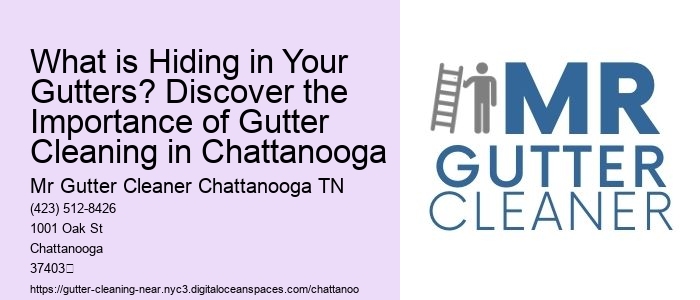 What is Hiding in Your Gutters? Discover the Importance of Gutter Cleaning in Chattanooga
