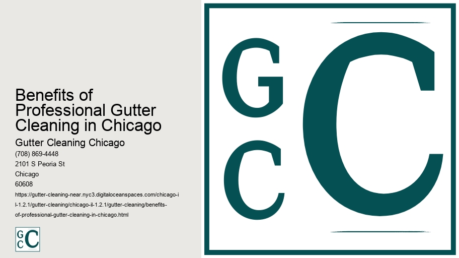 Benefits of Professional Gutter Cleaning in Chicago 
