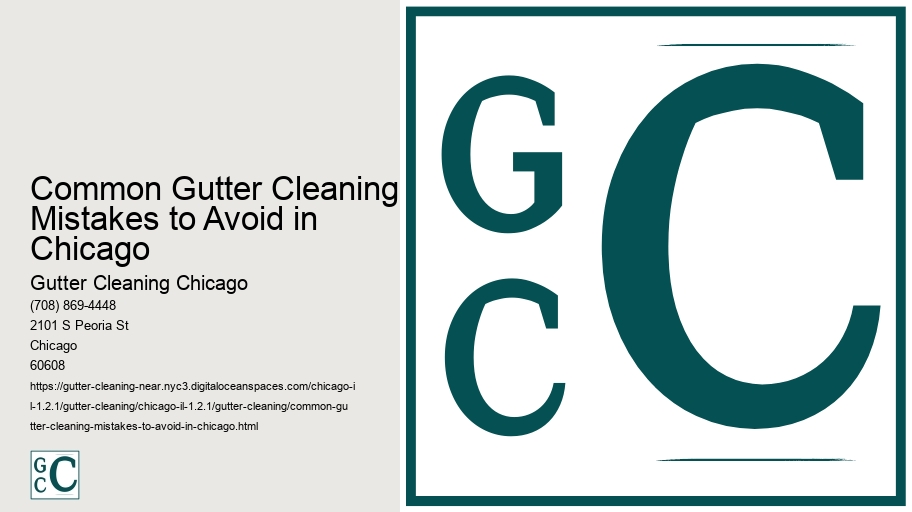 Common Gutter Cleaning Mistakes to Avoid in Chicago 