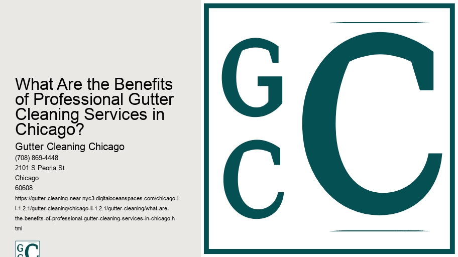 What Are the Benefits of Professional Gutter Cleaning Services in Chicago?