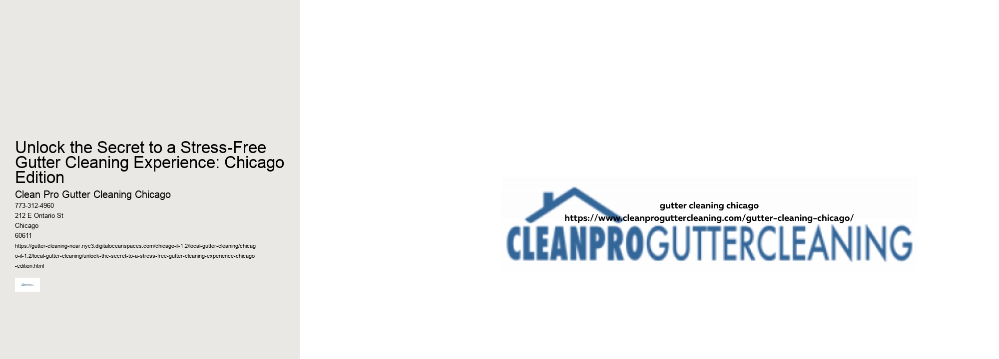 Unlock the Secret to a Stress-Free Gutter Cleaning Experience: Chicago Edition 