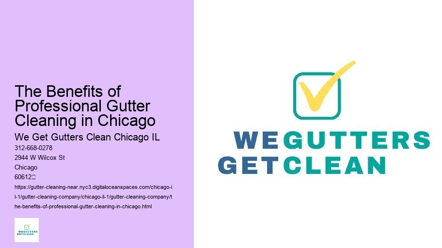 The Benefits of Professional Gutter Cleaning in Chicago