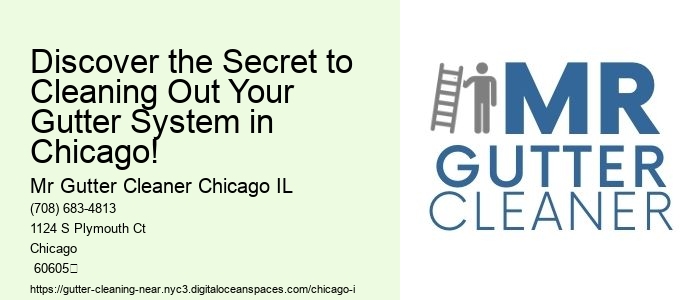Discover the Secret to Cleaning Out Your Gutter System in Chicago!