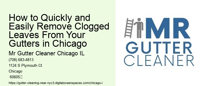 How to Quickly and Easily Remove Clogged Leaves From Your Gutters in Chicago 