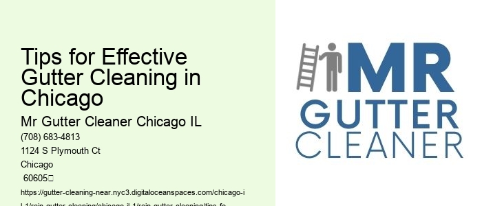Tips for Effective Gutter Cleaning in Chicago 