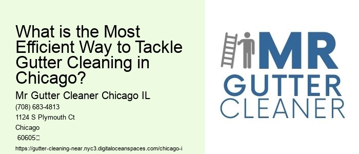 What is the Most Efficient Way to Tackle Gutter Cleaning in Chicago?