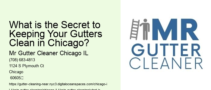 What is the Secret to Keeping Your Gutters Clean in Chicago? 