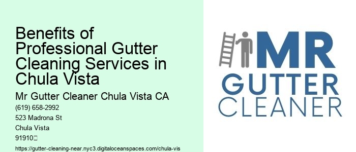 Benefits of Professional Gutter Cleaning Services in Chula Vista 