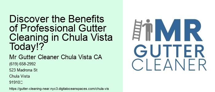 Discover the Benefits of Professional Gutter Cleaning in Chula Vista Today!?