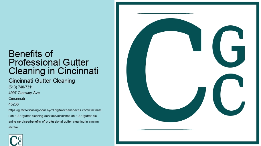 Benefits of Professional Gutter Cleaning in Cincinnati 