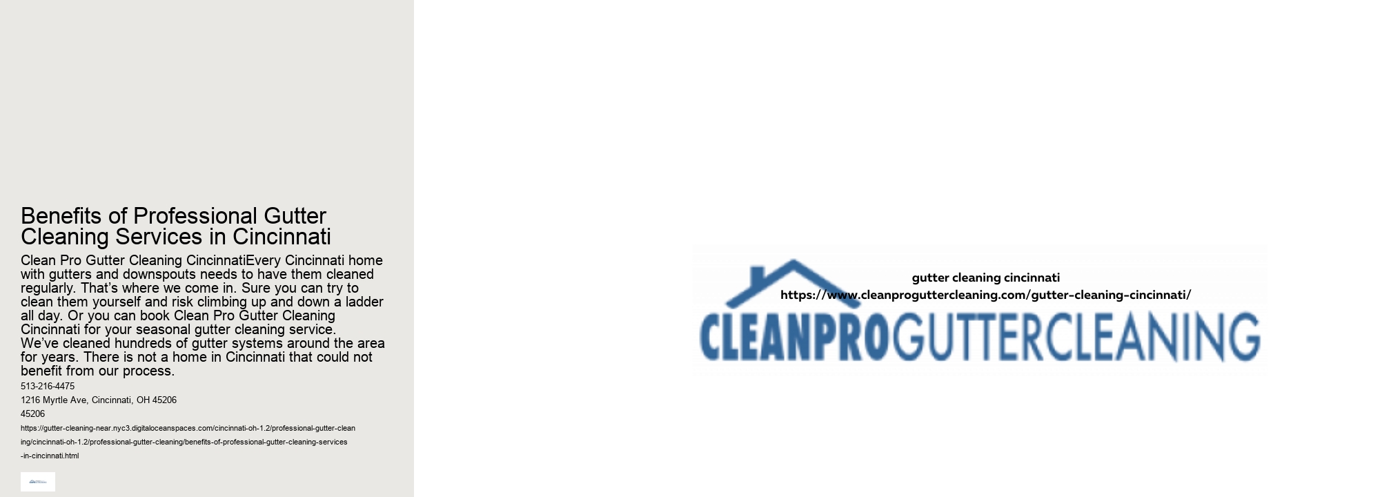 Benefits of Professional Gutter Cleaning Services in Cincinnati