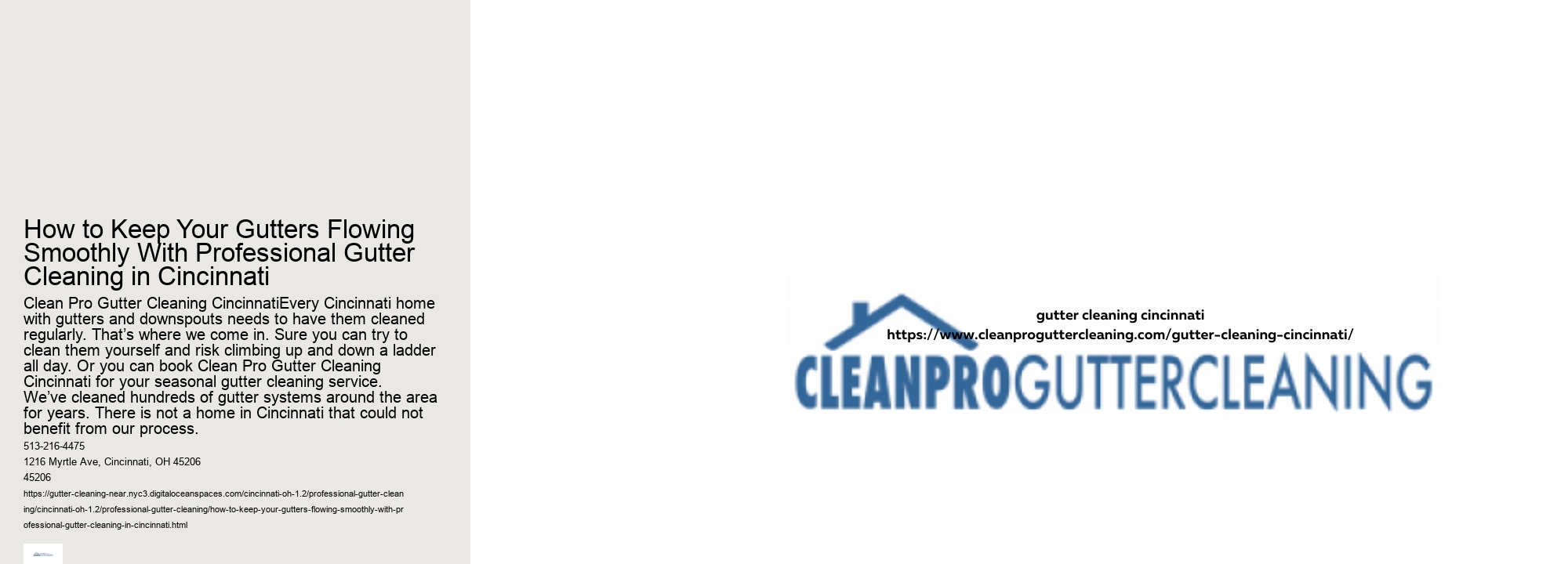 How to Keep Your Gutters Flowing Smoothly With Professional Gutter Cleaning in Cincinnati 
