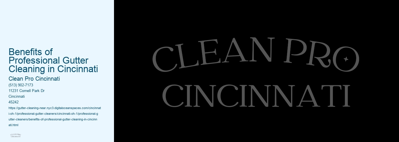 Benefits of Professional Gutter Cleaning in Cincinnati 