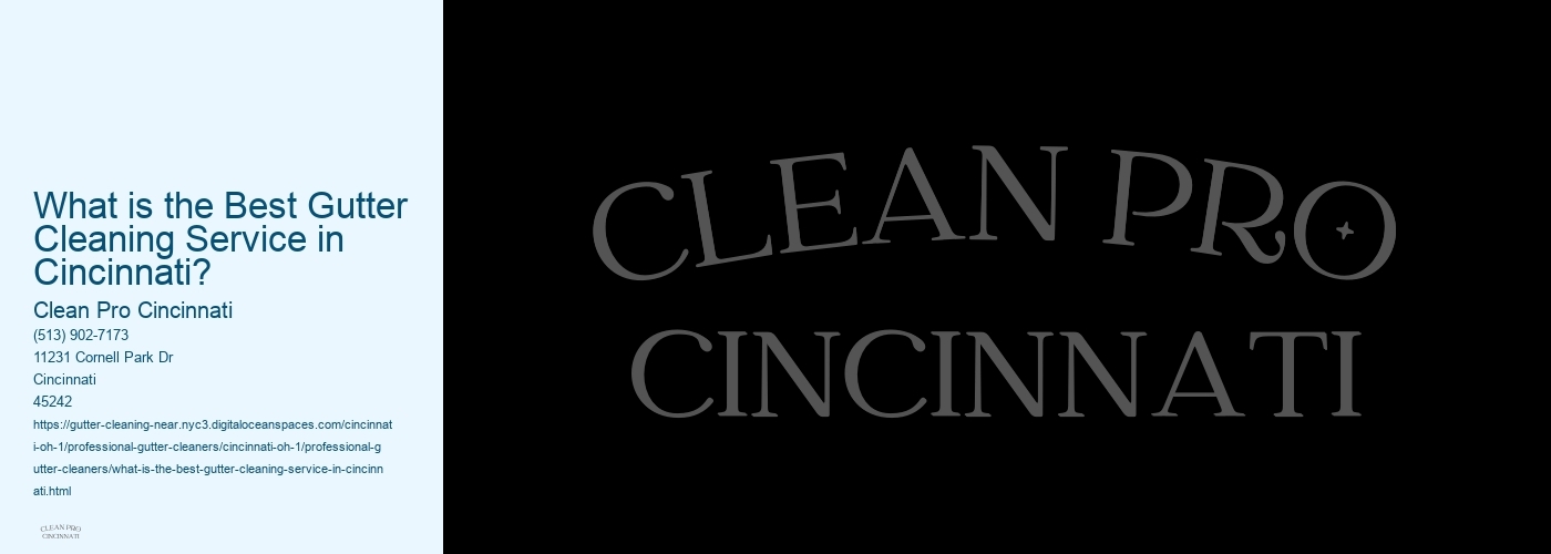 What is the Best Gutter Cleaning Service in Cincinnati?