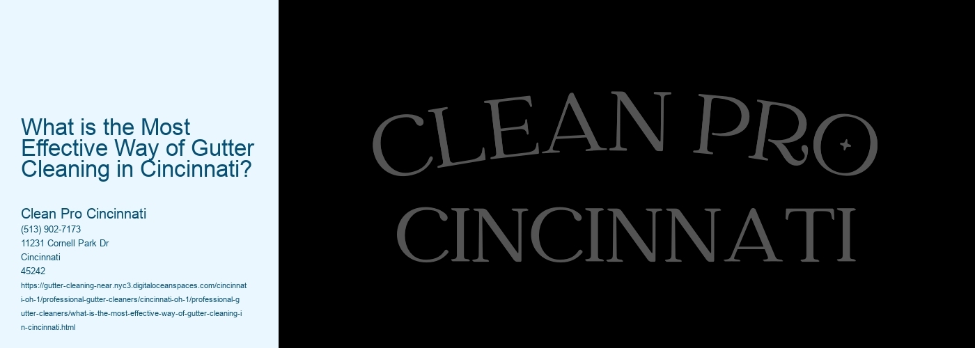 What is the Most Effective Way of Gutter Cleaning in Cincinnati? 
