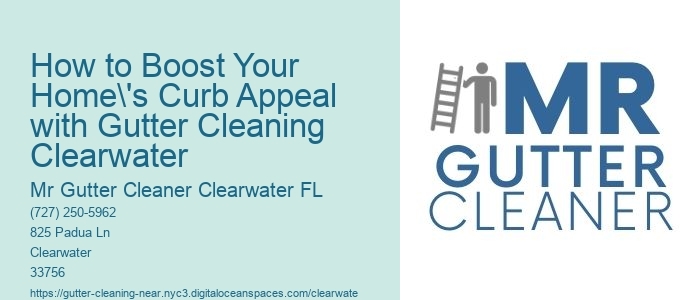 How to Boost Your Home's Curb Appeal with Gutter Cleaning Clearwater
