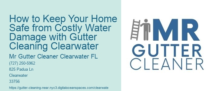 How to Keep Your Home Safe from Costly Water Damage with Gutter Cleaning Clearwater