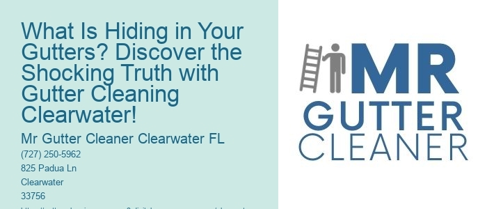 What Is Hiding in Your Gutters? Discover the Shocking Truth with Gutter Cleaning Clearwater!