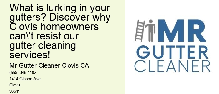 What is lurking in your gutters? Discover why Clovis homeowners can't resist our gutter cleaning services!
