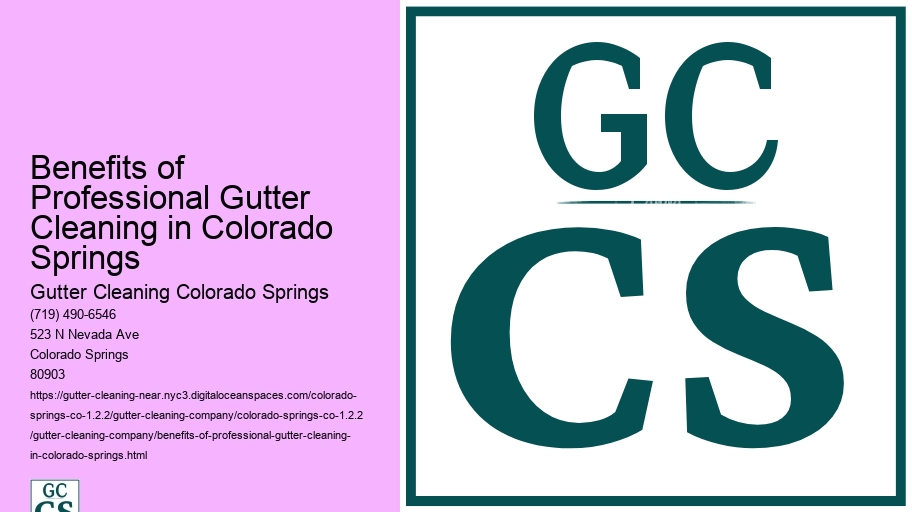 Benefits of Professional Gutter Cleaning in Colorado Springs 
