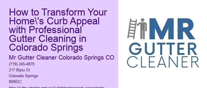 How to Transform Your Home's Curb Appeal with Professional Gutter Cleaning in Colorado Springs 