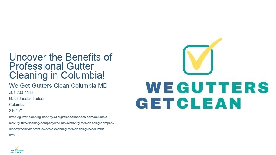 Uncover the Benefits of Professional Gutter Cleaning in Columbia!