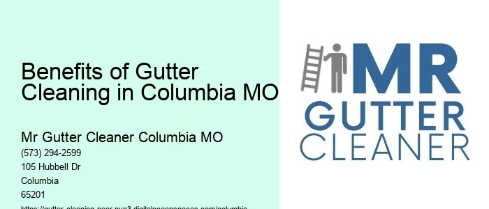 Benefits of Gutter Cleaning in Columbia MO 