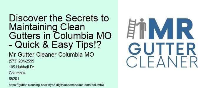 Discover the Secrets to Maintaining Clean Gutters in Columbia MO - Quick & Easy Tips!?