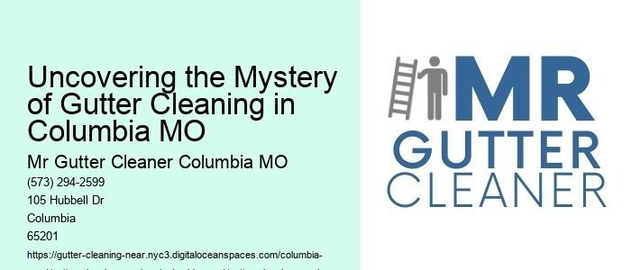 Uncovering the Mystery of Gutter Cleaning in Columbia MO