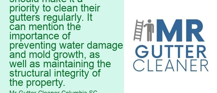 Benefits of regular gutter cleaning in Columbia: This topic can delve into the reasons why homeowners or property managers should make it a priority to clean their gutters regularly. It can mention the importance of preventing water damage and mold growth, as well as maintaining the structural integrity of the property. 