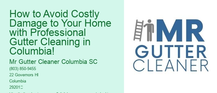 How to Avoid Costly Damage to Your Home with Professional Gutter Cleaning in Columbia!