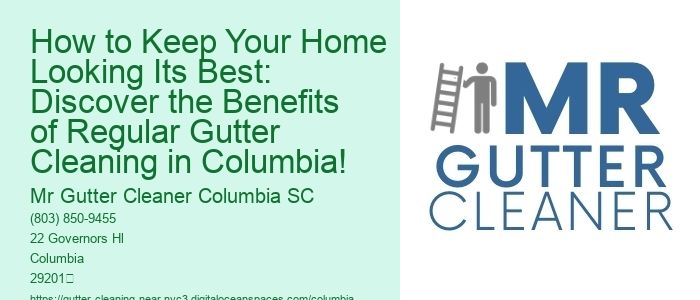 How to Keep Your Home Looking Its Best: Discover the Benefits of Regular Gutter Cleaning in Columbia!