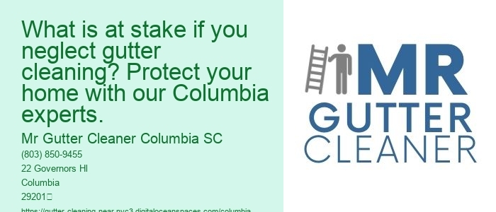 What is at stake if you neglect gutter cleaning? Protect your home with our Columbia experts.