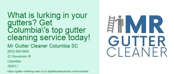 What is lurking in your gutters? Get Columbia's top gutter cleaning service today!