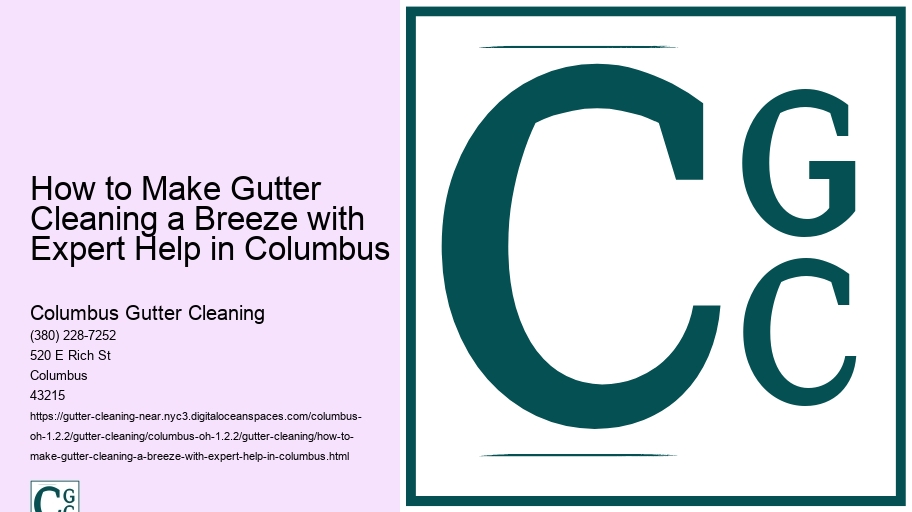 How to Make Gutter Cleaning a Breeze with Expert Help in Columbus 