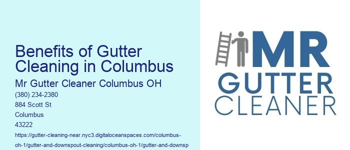Benefits of Gutter Cleaning in Columbus 
