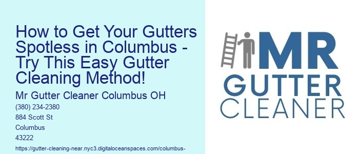 How to Get Your Gutters Spotless in Columbus - Try This Easy Gutter Cleaning Method! 