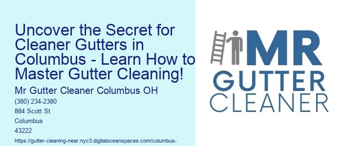 Uncover the Secret for Cleaner Gutters in Columbus - Learn How to Master Gutter Cleaning!