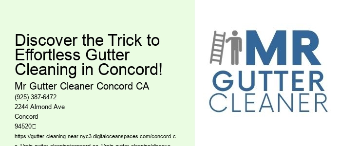 Discover the Trick to Effortless Gutter Cleaning in Concord!