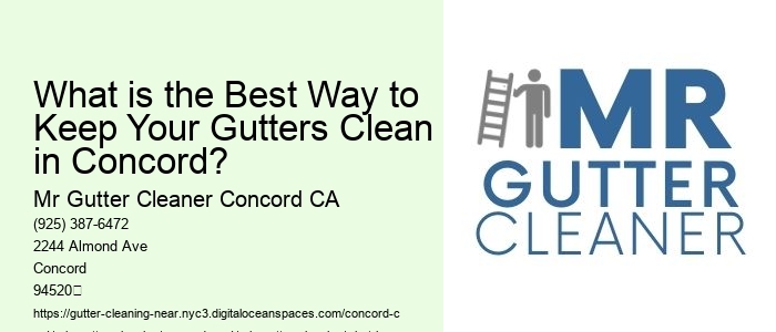 What is the Best Way to Keep Your Gutters Clean in Concord? 