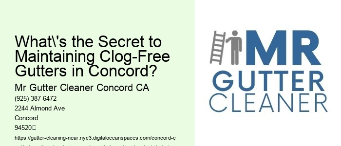 What's the Secret to Maintaining Clog-Free Gutters in Concord?