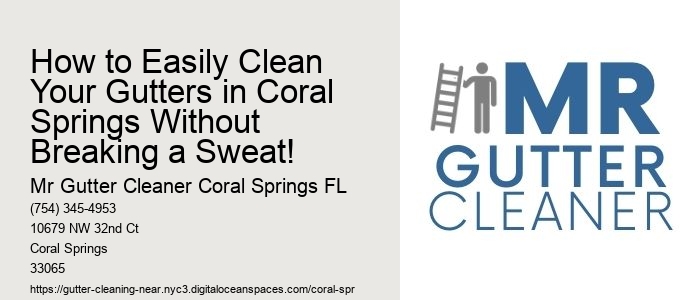How to Easily Clean Your Gutters in Coral Springs Without Breaking a Sweat!  