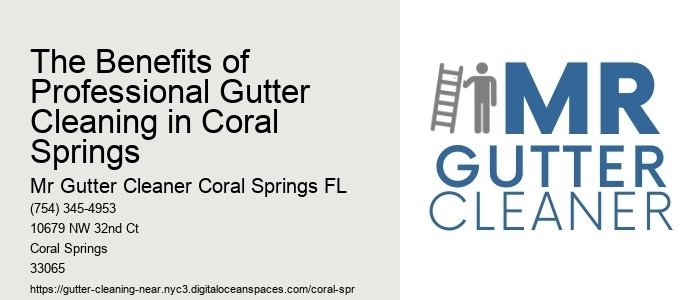 The Benefits of Professional Gutter Cleaning in Coral Springs 
