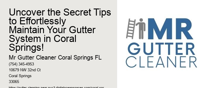 Uncover the Secret Tips to Effortlessly Maintain Your Gutter System in Coral Springs!