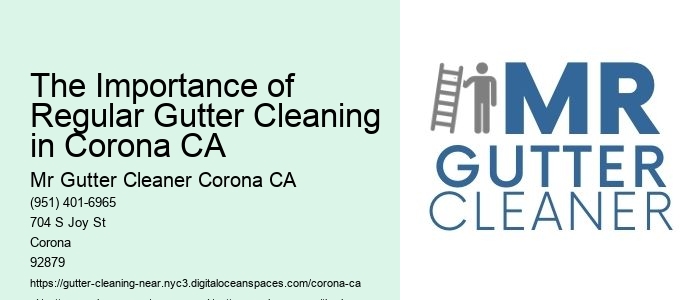 The Importance of Regular Gutter Cleaning in Corona CA